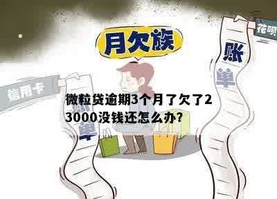 微粒贷逾期3个月了欠了23000没钱还怎么办？