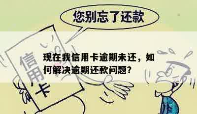 现在我信用卡逾期未还，如何解决逾期还款问题？