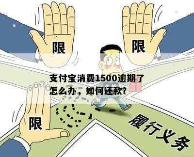 支付宝消费1500逾期了怎么办，如何还款？