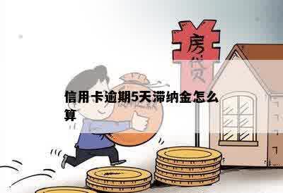 信用卡逾期5天滞纳金怎么算