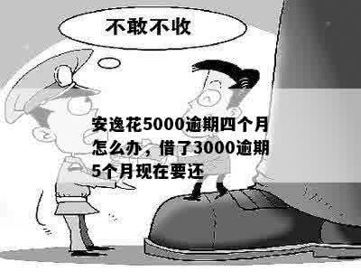 安逸花5000逾期四个月怎么办，借了3000逾期5个月现在要还