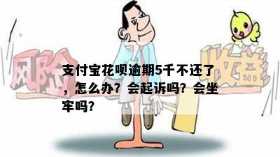 支付宝花呗逾期5千不还了，怎么办？会起诉吗？会坐牢吗？