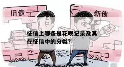 征信上哪条是花呗记录及其在征信中的分类？