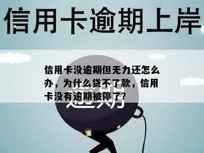 信用卡没逾期但无力还怎么办，为什么贷不了款，信用卡没有逾期被停了？