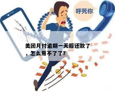 美团月付逾期一天后还款了，怎么用不了了？