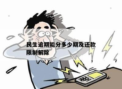 民生逾期能分多少期及还款限制解除