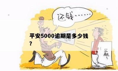 平安5000逾期是多少钱？