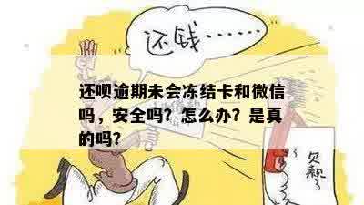 还呗逾期未会冻结卡和微信吗，安全吗？怎么办？是真的吗？