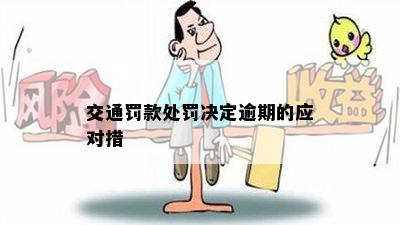 交通罚款处罚决定逾期的应对措