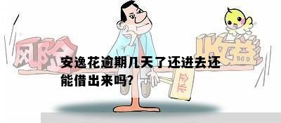 安逸花逾期几天了还进去还能借出来吗？