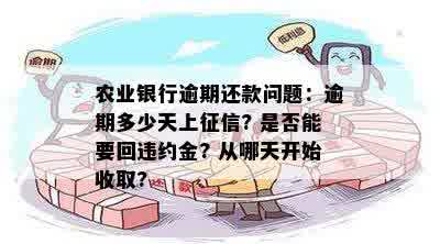 农业银行逾期还款问题：逾期多少天上征信? 是否能要回违约金? 从哪天开始收取?