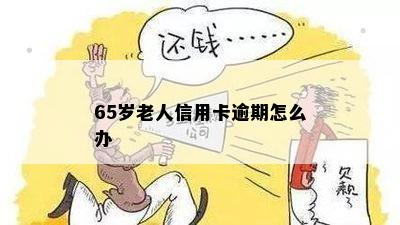 65岁老人信用卡逾期怎么办