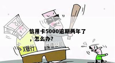 信用卡5000逾期两年了，怎么办？