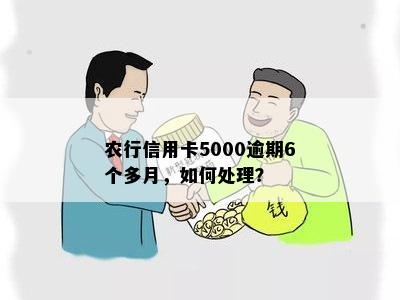 农行信用卡5000逾期6个多月，如何处理？