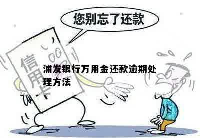 浦发银行万用金还款逾期处理方法