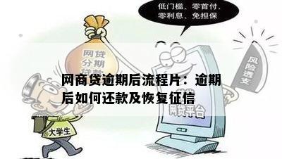 网商贷逾期后流程片：逾期后如何还款及恢复征信