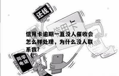 信用卡逾期一直没人催收会怎么样处理，为什么没人联系我？