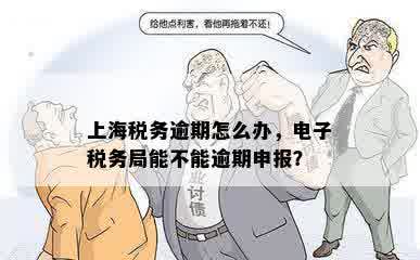 上海税务逾期怎么办，电子税务局能不能逾期申报？