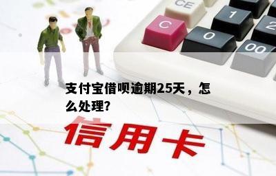 支付宝借呗逾期25天，怎么处理？