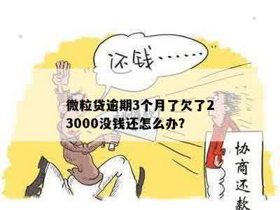 微粒贷逾期3个月了欠了23000没钱还怎么办？