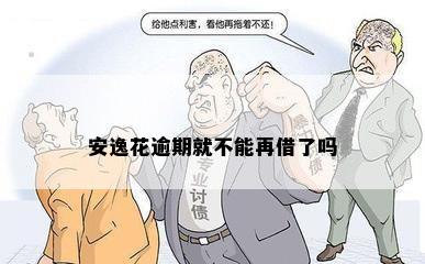 安逸花逾期就不能再借了吗