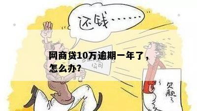 网商贷10万逾期一年了，怎么办？