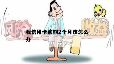 我信用卡逾期2个月该怎么办