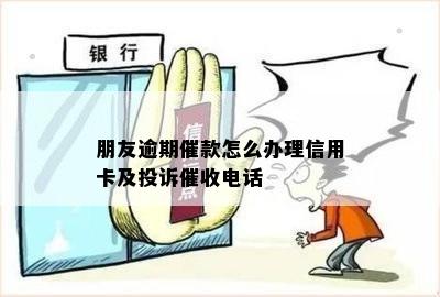 朋友逾期催款怎么办理信用卡及投诉催收电话