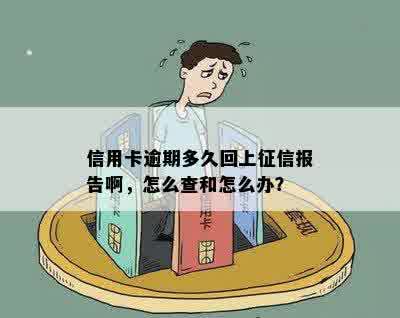 信用卡逾期多久回上征信报告啊，怎么查和怎么办？