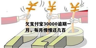 欠支付宝30000逾期一月，每月慢慢还几百