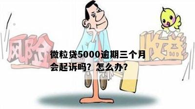 微粒贷5000逾期三个月会起诉吗？怎么办？