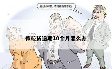 微粒贷逾期10个月怎么办