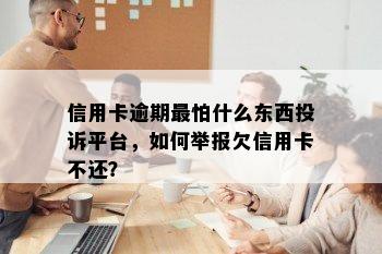 信用卡逾期最怕什么东西投诉平台，如何举报欠信用卡不还？