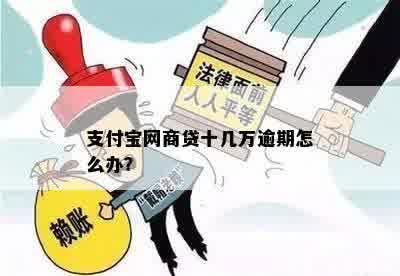 支付宝网商贷十几万逾期怎么办？