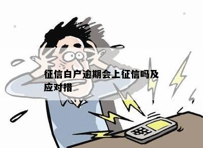 征信白户逾期会上征信吗及应对措