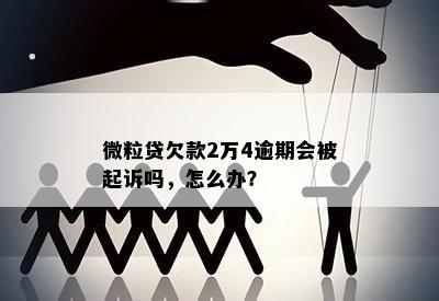 微粒贷欠款2万4逾期会被起诉吗，怎么办？