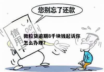 微粒贷逾期8千块钱起诉你怎么办理？