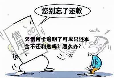 欠信用卡逾期了可以只还本金不还利息吗？怎么办？