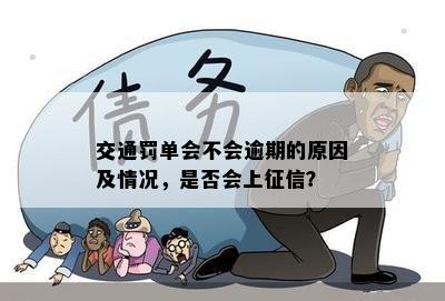 交通罚单会不会逾期的原因及情况，是否会上征信？