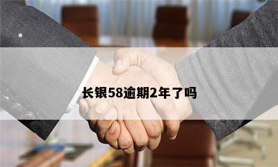 长银58逾期2年了吗