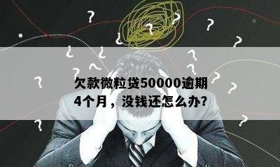 欠款微粒贷50000逾期4个月，没钱还怎么办？