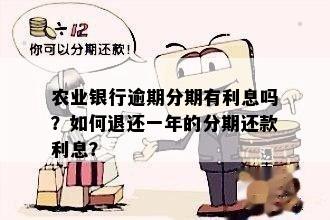 农业银行逾期分期有利息吗？如何退还一年的分期还款利息？