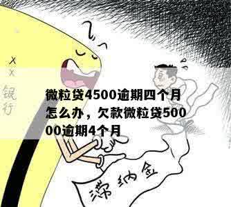 微粒贷4500逾期四个月怎么办，欠款微粒贷50000逾期4个月