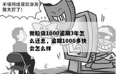 微粒贷1000逾期3年怎么还息，逾期1000多快会怎么样