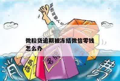 微粒贷逾期被冻结微信零钱怎么办