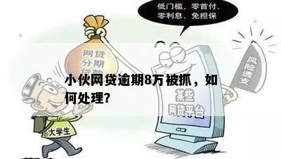 小伙网贷逾期8万被抓，如何处理？