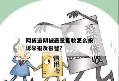 网贷逾期被恶意催收怎么投诉举报及报警？