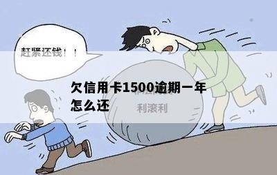 欠信用卡1500逾期一年怎么还