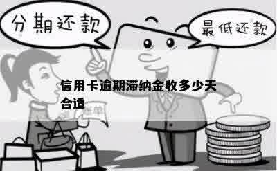 信用卡逾期滞纳金收多少天合适