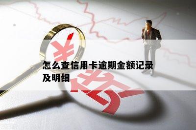 怎么查信用卡逾期金额记录及明细